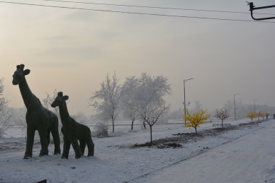 В парке культуры и отдыха Черногорска «поселились» зелёные жирафы