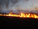 Росреестр составил перечень земельных участков в Хакасии, входящих в зону риска по пожарам