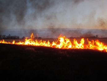 Росреестр составил перечень земельных участков в Хакасии, входящих в зону риска по пожарам