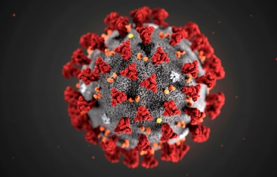 Основные меры предосторожности для защиты от новой коронавирусной инфекции
