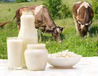 Правила реализации молока и молочных продуктов на розничных рынках, ярмарках