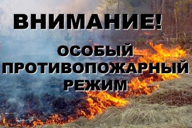 Об установлении особого противопожарного режима на территории города Черногорска