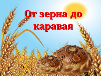 ПРОГРАММА III-го ГОРОДСКОГО ФЕСТИВАЛЯ ХЛЕБА «От Зерна до Каравая»