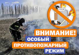 В Хакасии продлен особый противопожарный режим 