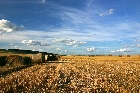В Хакасии увеличивается число земель промышленности  за счет земель сельхозназначения