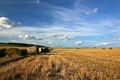 В Хакасии увеличивается число земель промышленности  за счет земель сельхозназначения