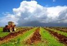 В Хакасии земель сельхозназначения стало меньше еще на 2,2 тысячи гектар 