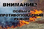 Об установлении особого противопожарного режима на территории города Черногорска